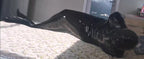 BDSM PU Mermaid Sleepsack available in multiple sizes