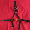 Ball Gag Harness