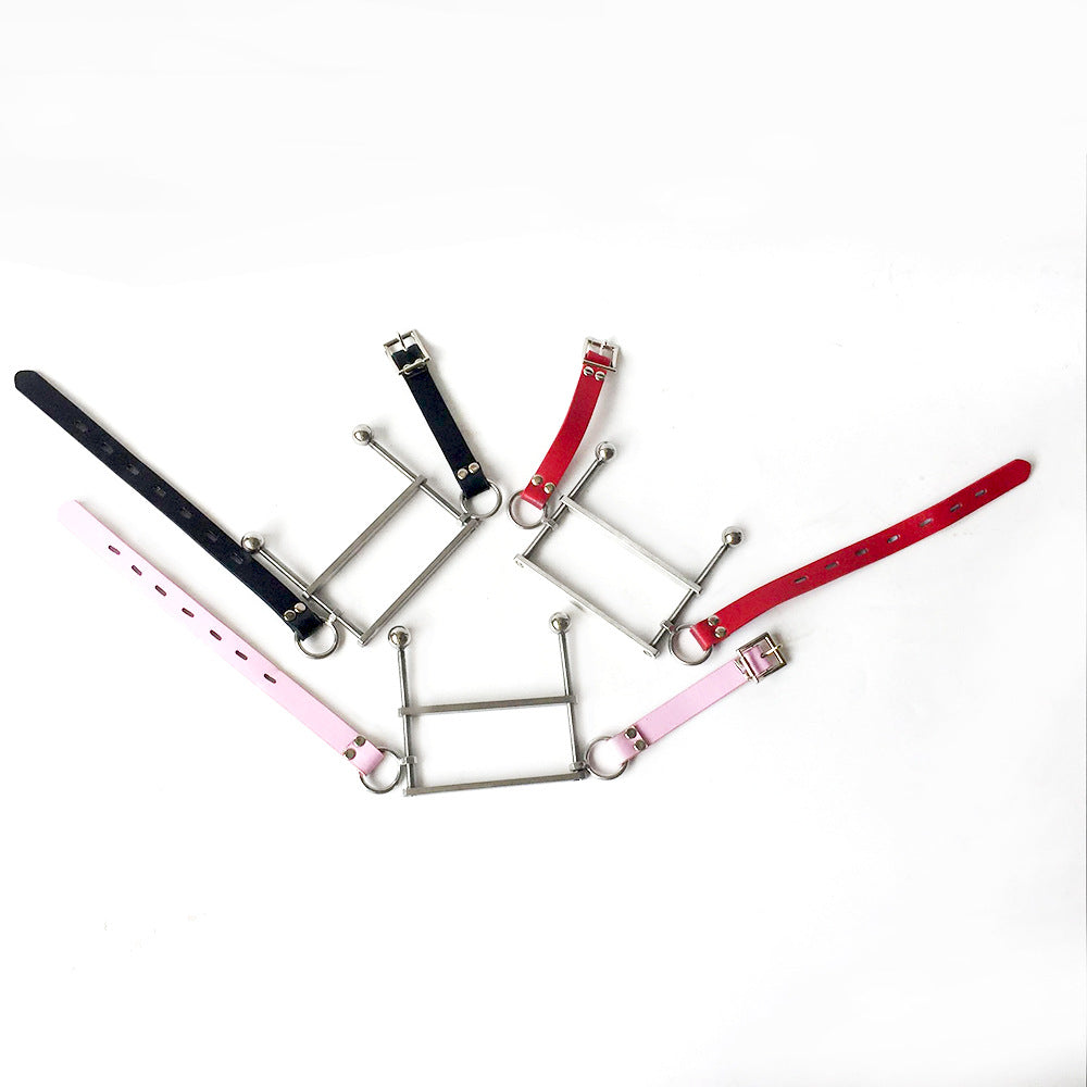 Stainless Steel Mouth Gag ® Leather