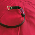 Ring Steel Gag ® DOMINA STORE