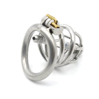 Stainless Steel Chastity Lock – Le Chateau BDSM® USA