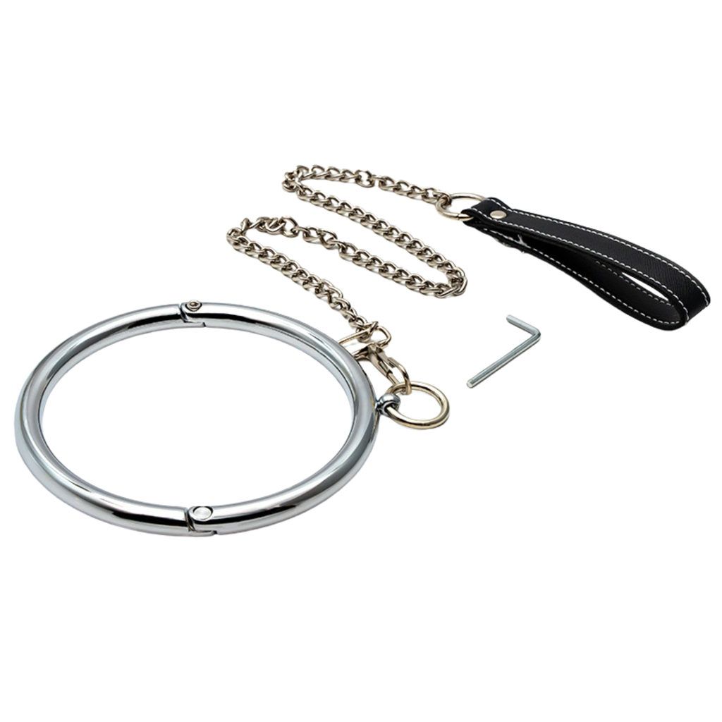 Metal Necklace ® Leash & Chain