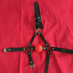 Harness Red Ball Gag ® DOMINA STORE