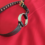 Ring Steel Gag ® DOMINA STORE