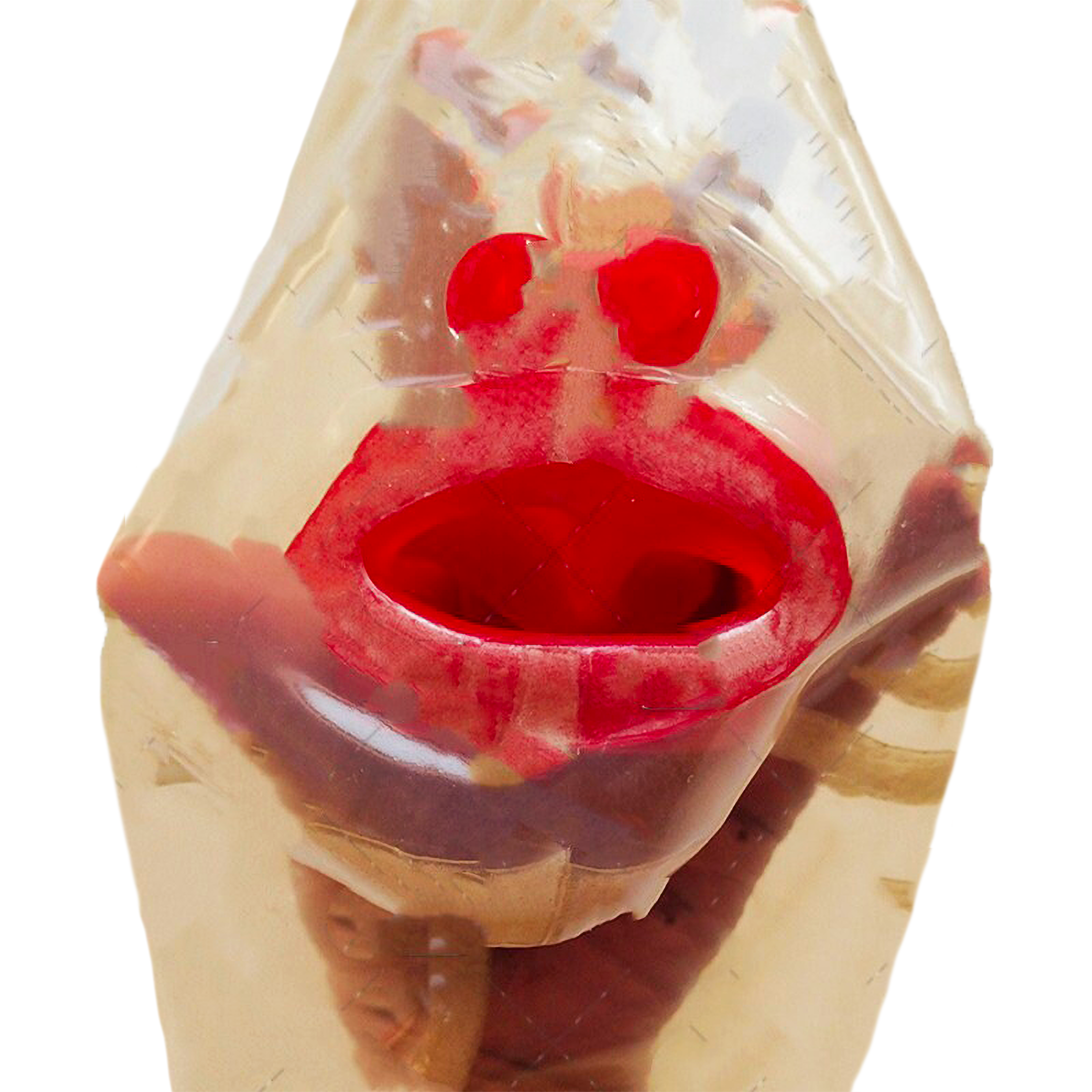 Latex Translucid Silicon Gag For Slaves ® BREATHPLAY SHOP