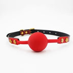 Mouth Ball Gag