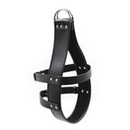 Head Harness Suspension